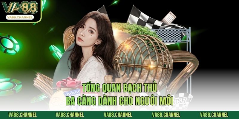 Tổng quan bạch thủ ba càng dành cho người mới
